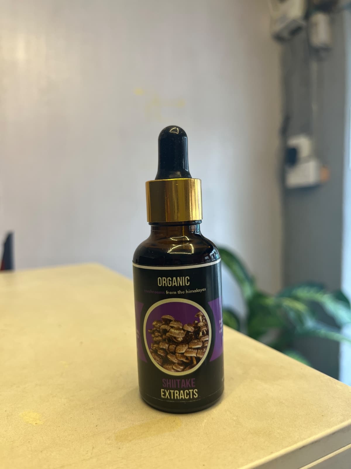 Organic Shiitake Mushroom Extract 30ml | Life-Force Booster